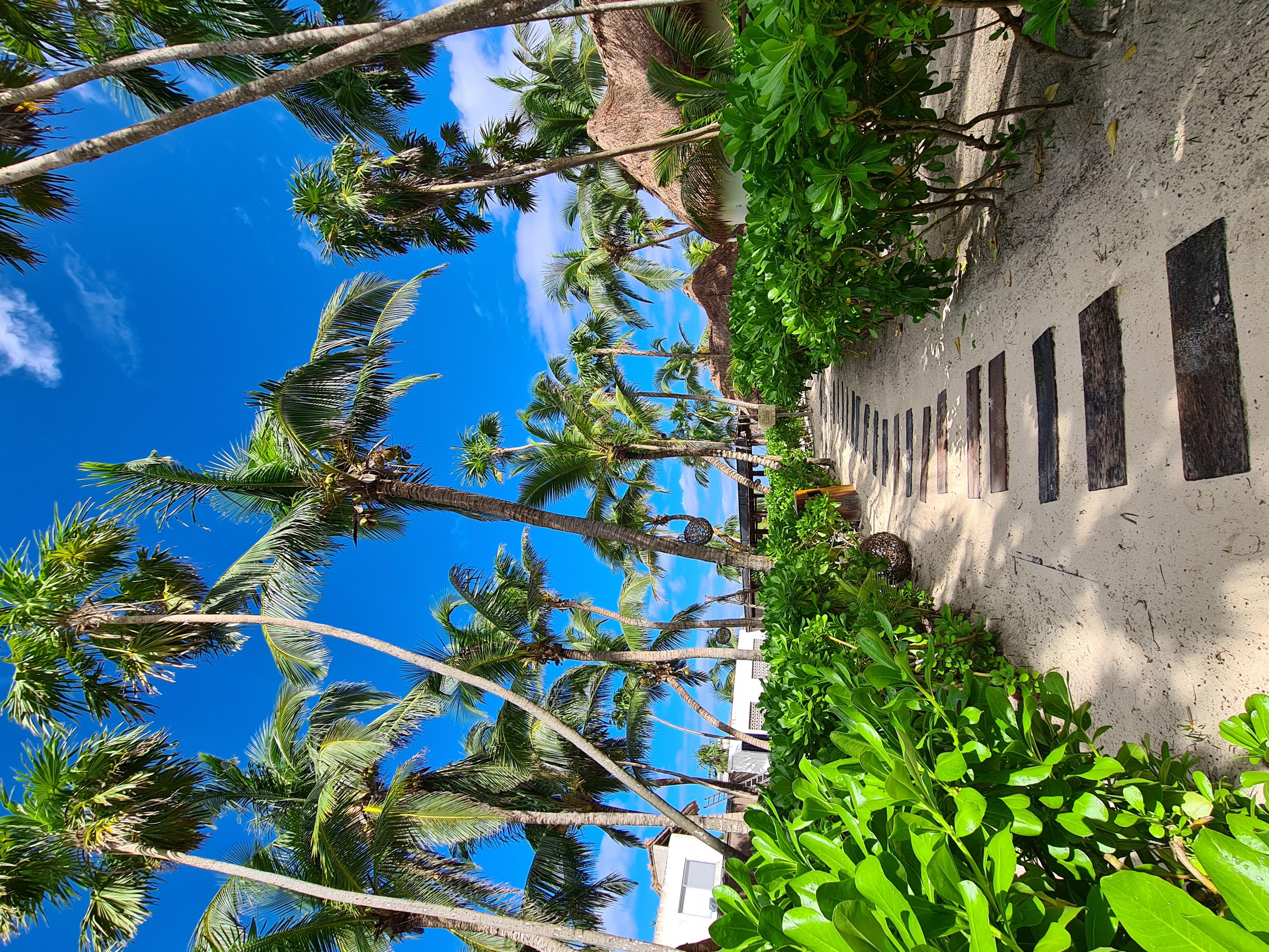 Los Amigos Beach Hotel Boutique Tulum Exterior foto
